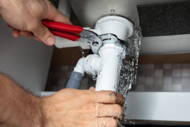 Best Mold removal after water damage  in Princeton, WV