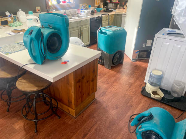 Best Water damage contractors near me  in Princeton, WV