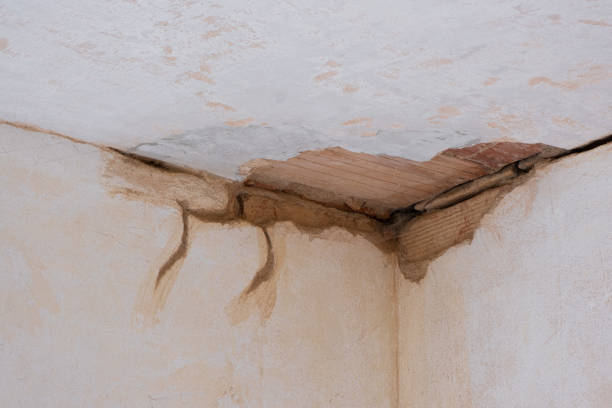 Best Water damage repair service  in Princeton, WV