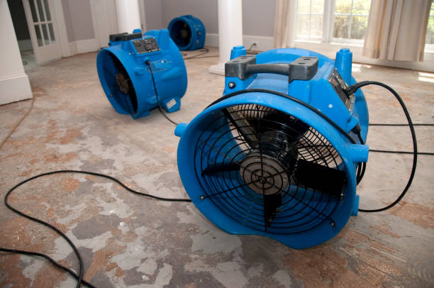 Best Emergency water extraction  in Princeton, WV