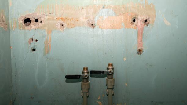 Best Professional water damage repair  in Princeton, WV