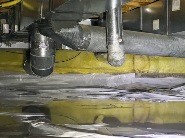 Best Carpet water damage restoration  in Princeton, WV