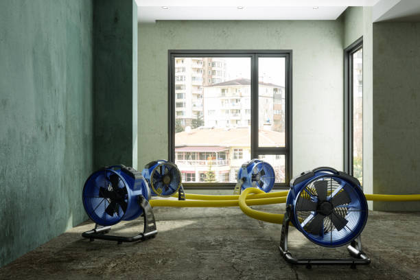  Princeton, WV Water damage restoration Pros