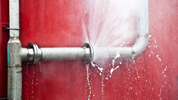 Best 24/7 water damage repair  in Princeton, WV